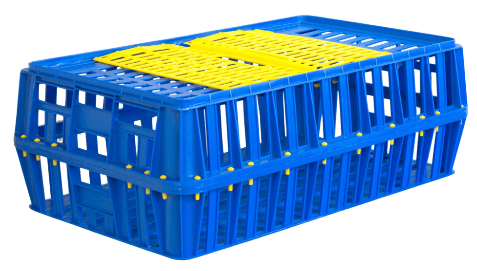 Ящики для птицы