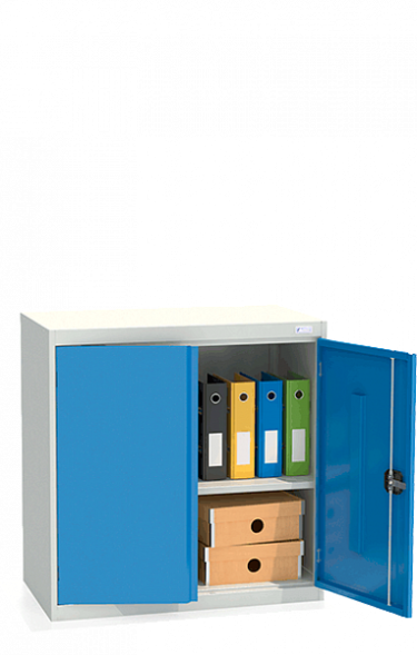 Шкаф архивный ШХА/2-900(50)